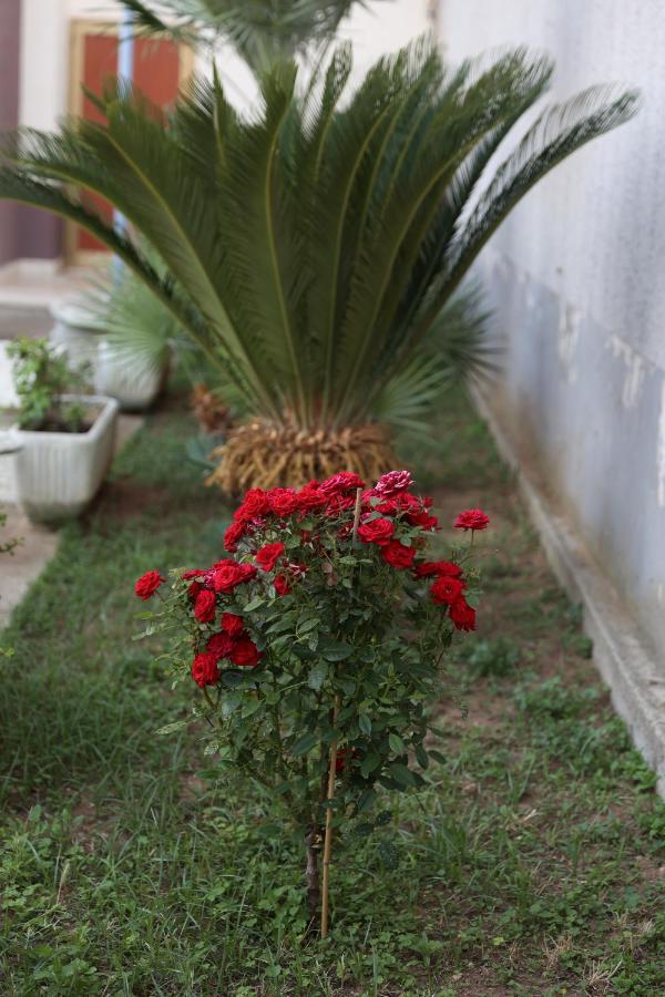 Innuendo La Terrazza House Lecce Exterior photo